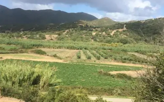Sardinian House