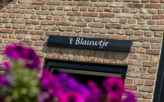Majestic mansion in Vrouwenpolder with private garden
