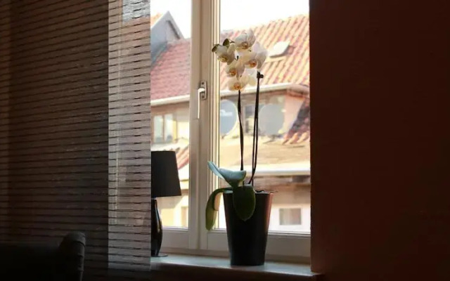 Ferienwohnungen Nikolaiblick