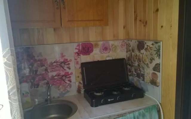 Guest house Kontcelidze