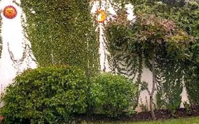 Casa Román
