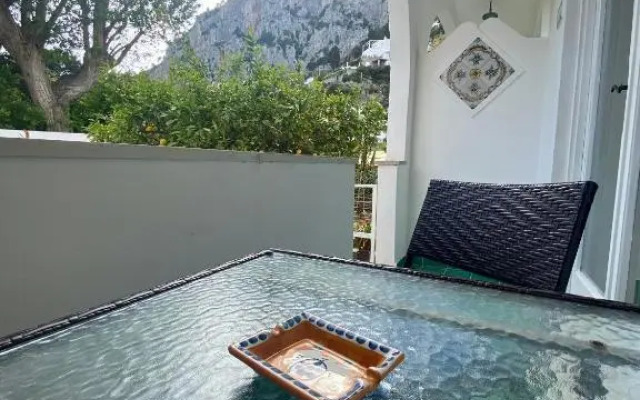 Villa Striano Capri - Guest House - Rooms Garden & Art