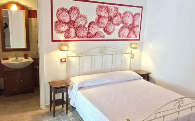 Agriturismo Amaranto