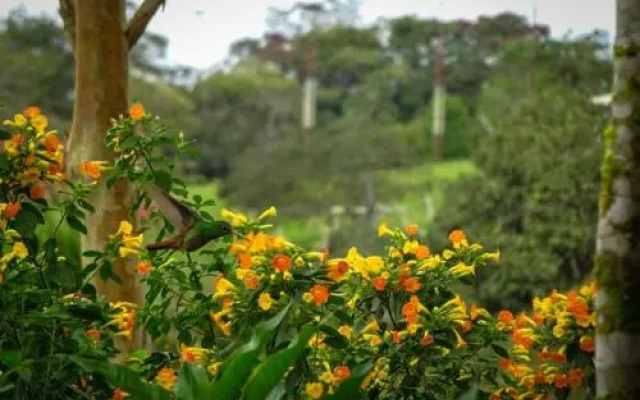 Eco Granja Sostenible Don Lolo