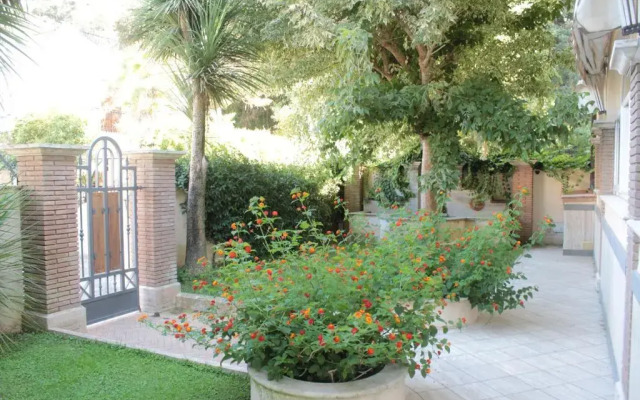 B&B Cavalieri