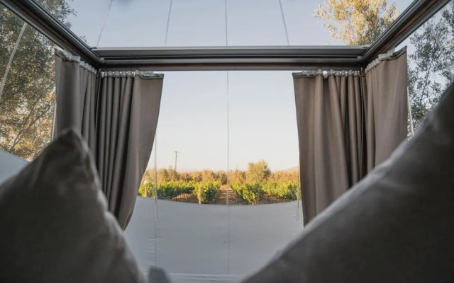 Campera Hotel Burbuja VDG