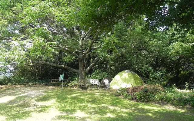 Alpha Eight - Hostel