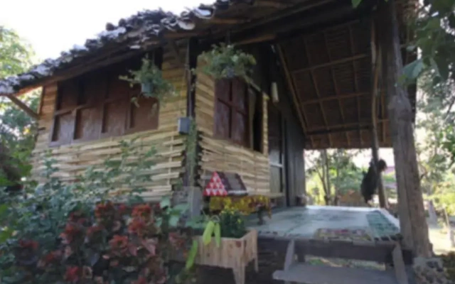 Pai Topia