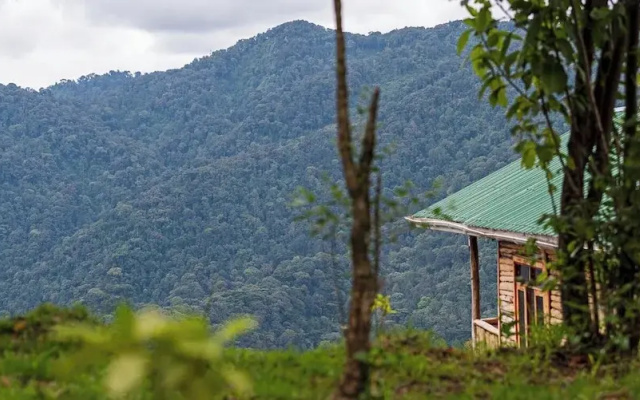 Orugano Bwindi Lodge