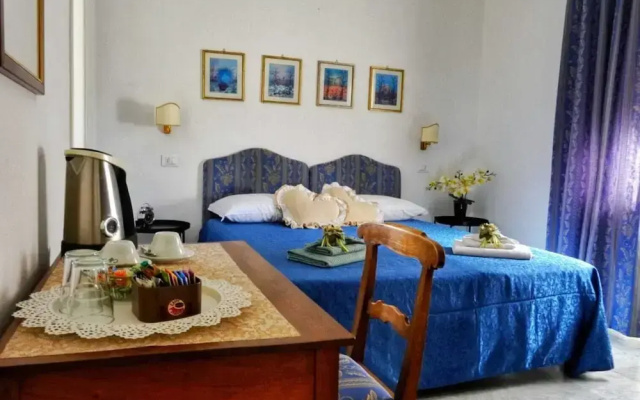 B&B Myosotis