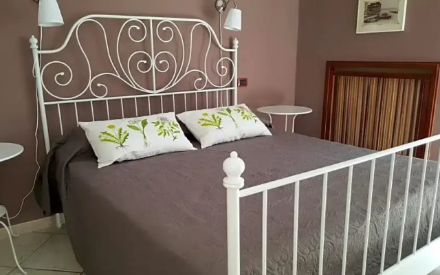 Bed Breakfast Aminei Metro