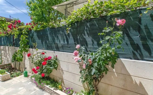 Apartment Marica