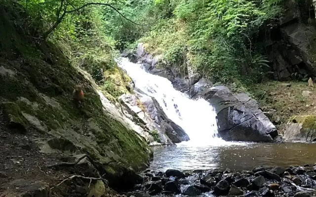 B&B Le Saut de la Bergère