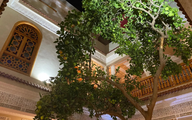Riad Shajara