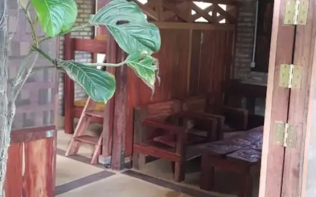 Casa de los Micos Leticia