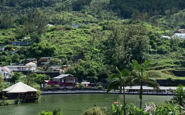 Les Thuyas
