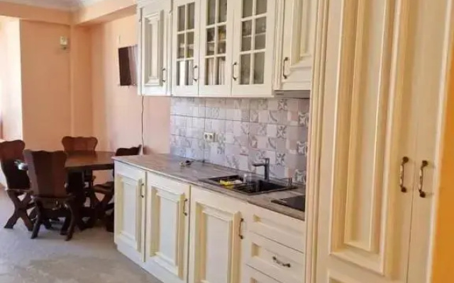 Bakuriani Mix 1 Room Apartment / Studio