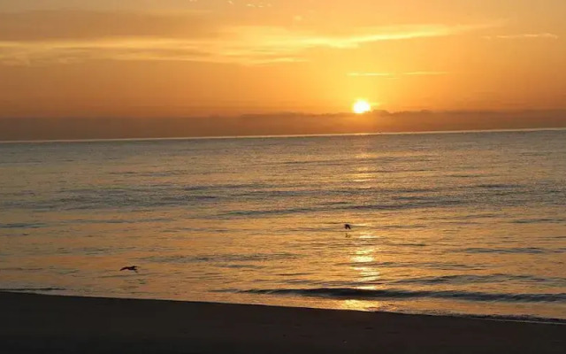 Las Sirenas de Santa Clara
