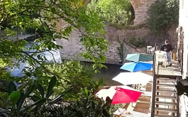 Du Chat Noir