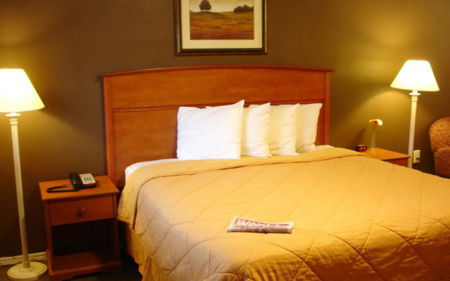 Valueinn Eugene - Airport