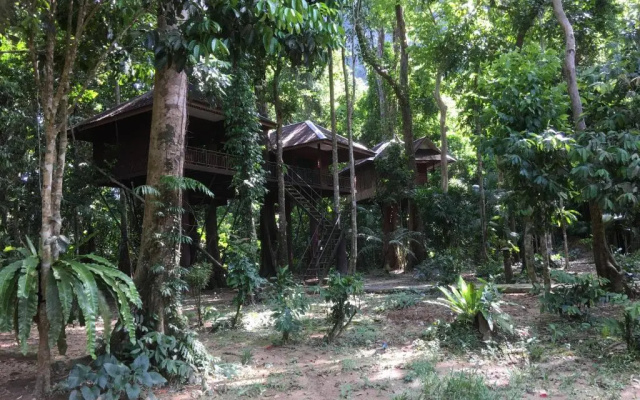 Khao Sok Nature Resort