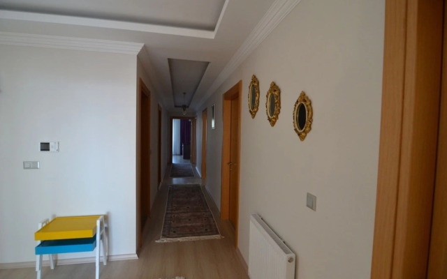 Elite Suite