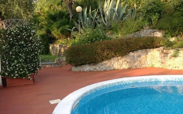 Mediterranea