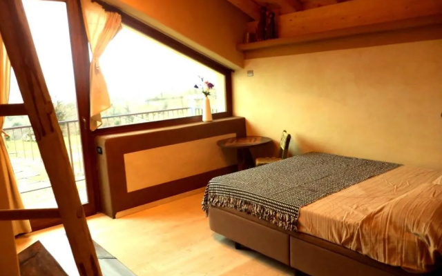 B&B Asinochevola