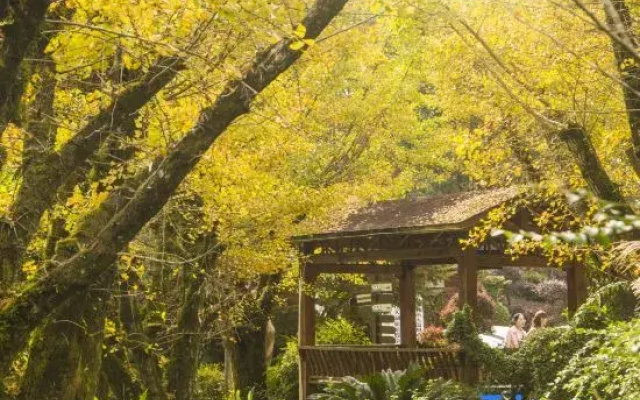 Sweetome Vacation Rentals (Wencheng Tianding Lake)