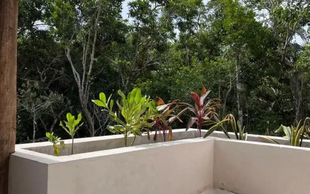 Xuncari Ecoluxury Living