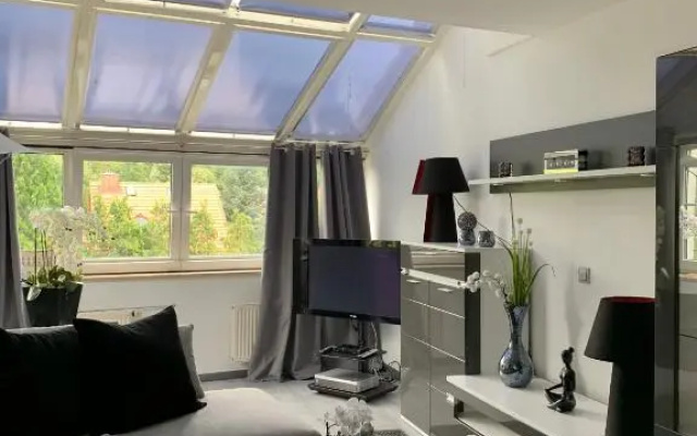 Luxus Appartement Brühlervorstadt Erfurt