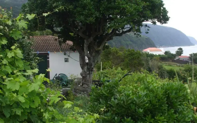 Adega do Batista