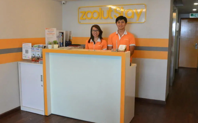 Zoolut Stay 278