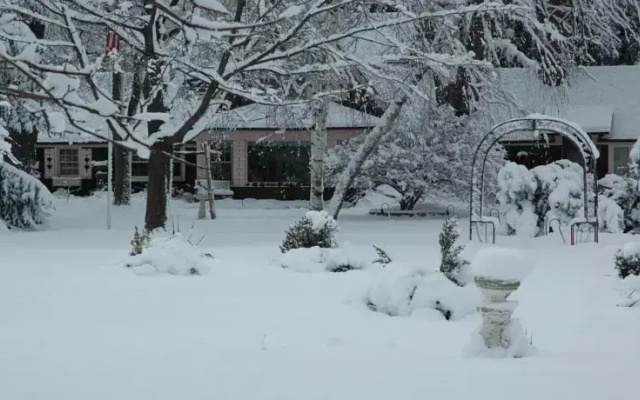 Lazy Cloud Bed and Breakfast