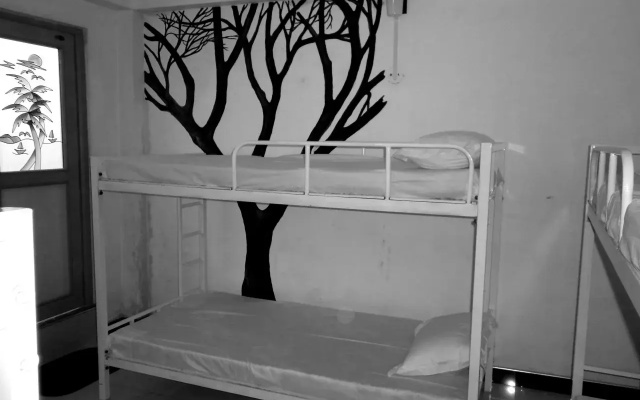 Colombo Airport Luxury Hostel @ Negombo Beach