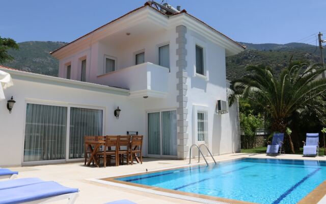 Villa Palm Турция, Олудениз - отзывы, цены и фото номеров - забронировать отель Villa Palm онлайн вид на фасад