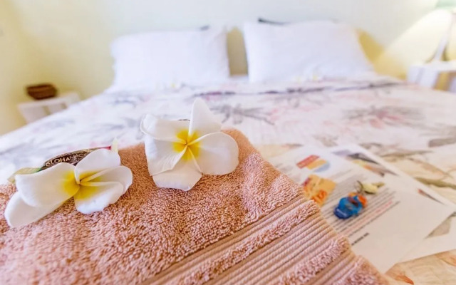 Nalu Kai Lodge Paia
