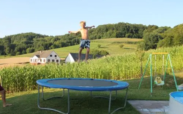 Zimmer Steger
