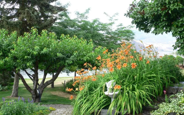 Lakeside Country Inn