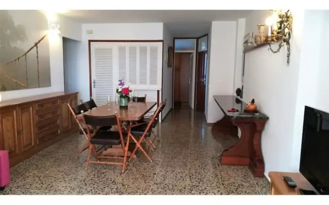 Tulipan 1