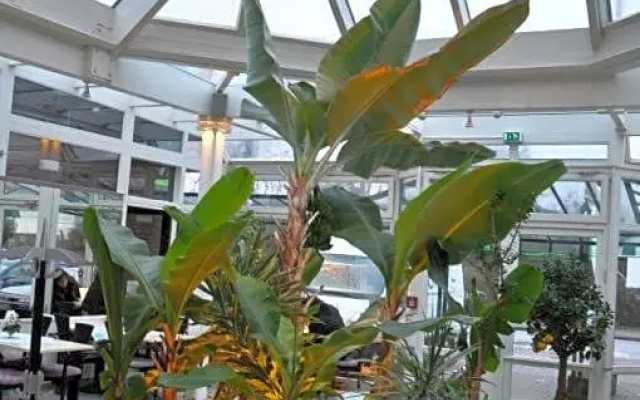 Hotel-Café Kampe