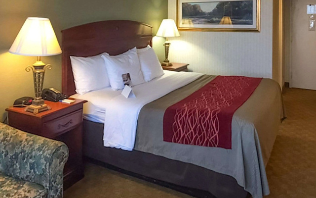 Comfort Inn Springfield