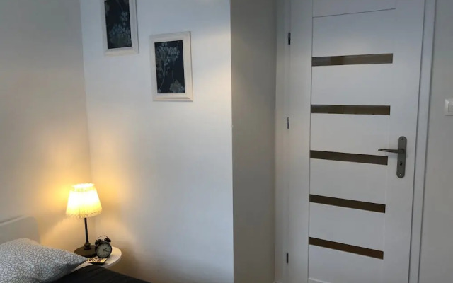 Central Rental - Apartament Przytulny