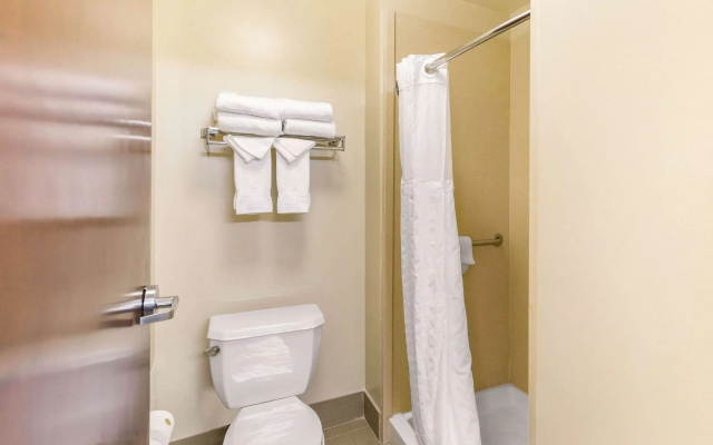 Comfort Suites Elkridge Columbia Gateway