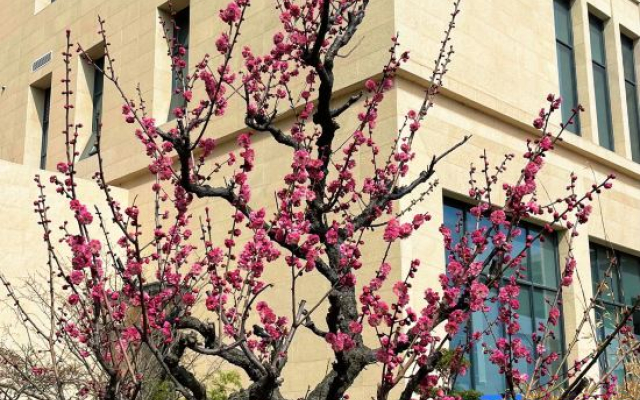 Oriental Garden Hotel
