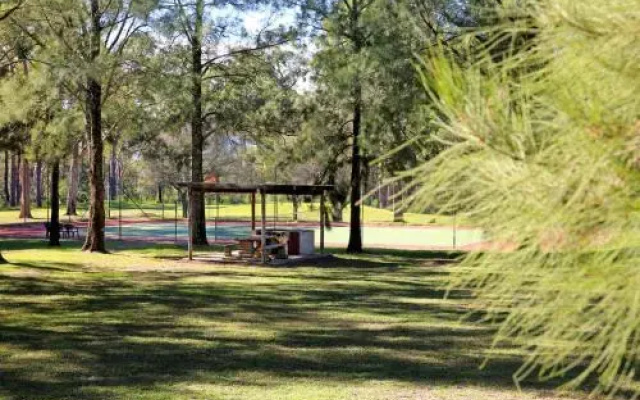 Siver Cabin