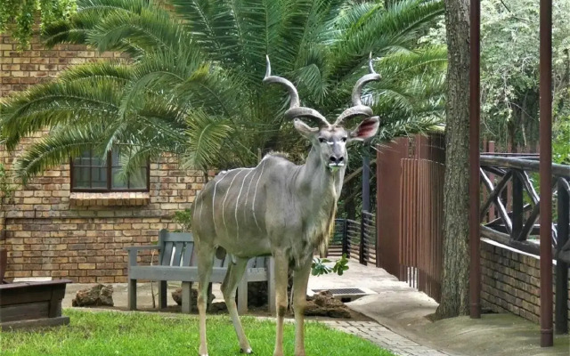 Weltevrede Lodge