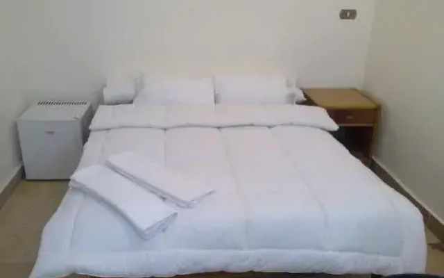 Transit Alexandria Hostel