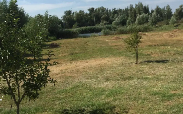 Vulturul Pescar