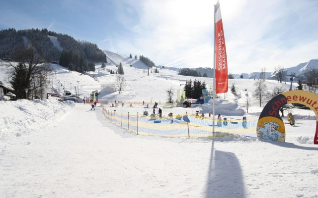 Beautiful Apartment in Maria Alm near Skiing Area